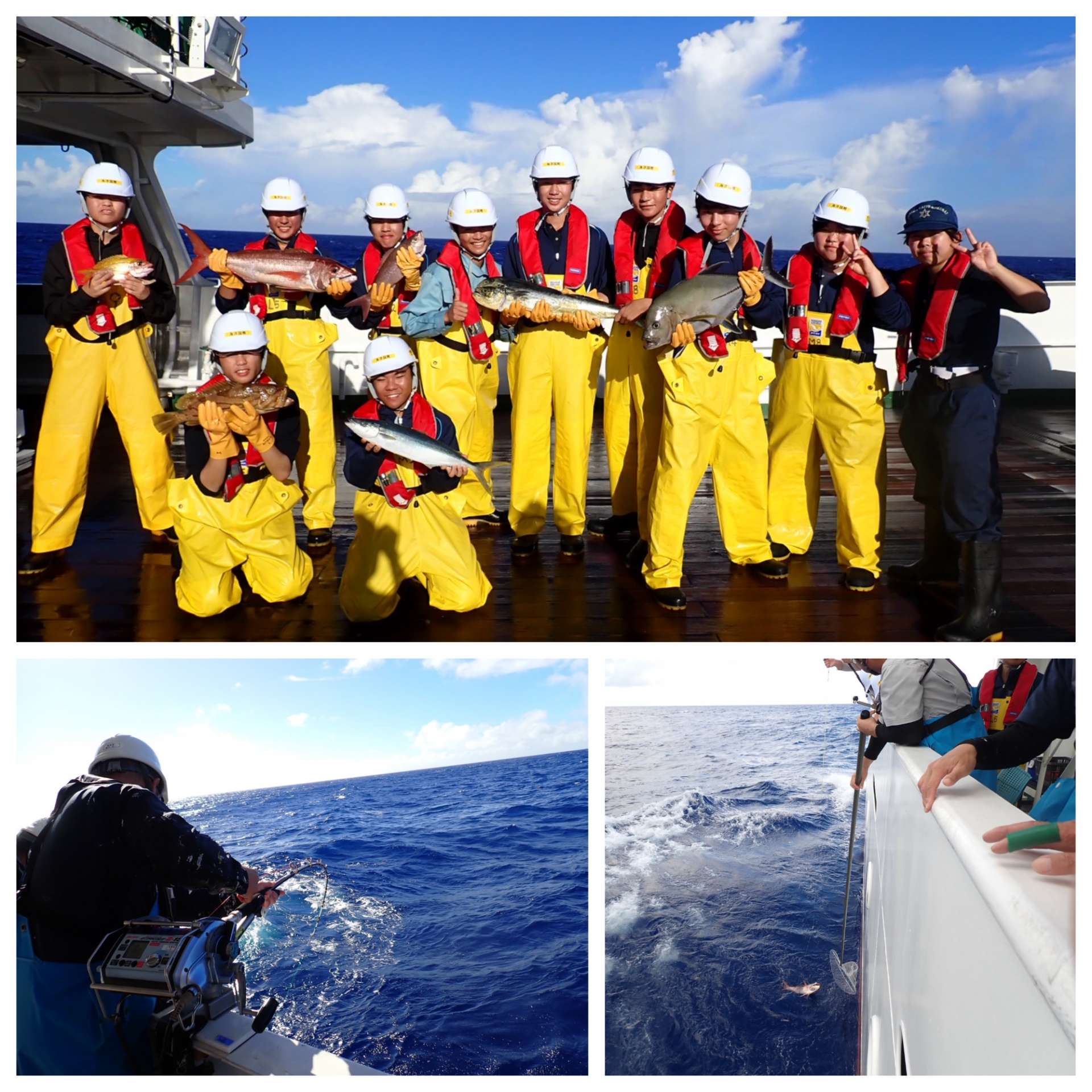 Blank 3 Grids Collage - 2025-10-27T133947.510